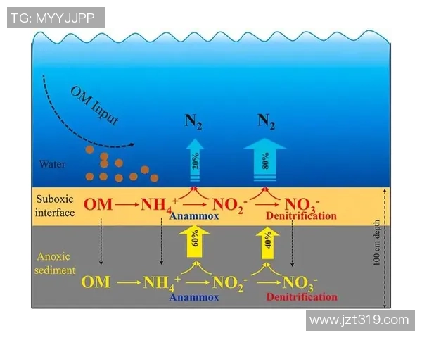 成都篮球队的整体压制分析与比赛得失的深度探讨